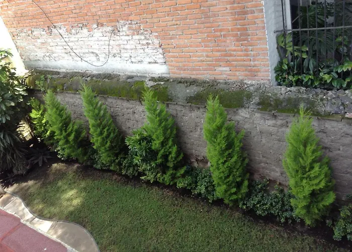 Centro De Coyoacan Mexico