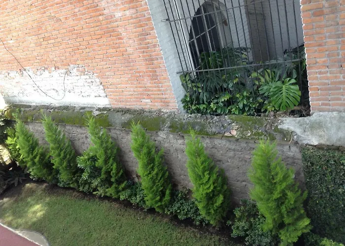 Séjour chez l'habitant Centro De Coyoacan Mexico