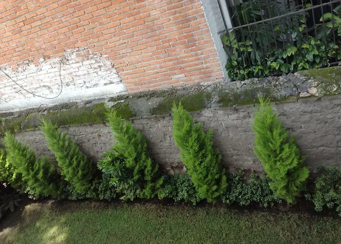 Séjour chez l'habitant Centro De Coyoacan
